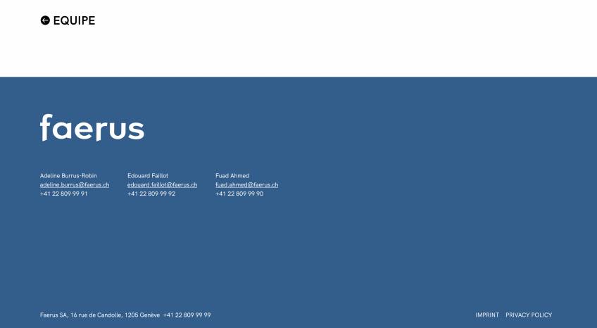 Faerus / Corporate Design and Website